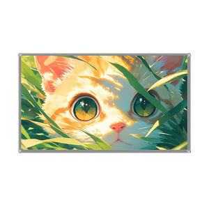 Panel de pantalla LCD TFT BOE EV238FHM-N21 de 23,8 pulgadas, 1920 × 1080, 600 cd/m², módulo de pantalla WLED de 16,7 millones de colores - Product Image 4