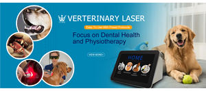 <span class=keywords><strong>Laser</strong></span> chirurgical vétérinaire YUWEI VT101 pour la thérapie de la douleur, 15W/30W, 980nm, classe III, certifié <span class=keywords><strong>CE</strong></span>, équipement de physiothérapie, longue durée de vie - Product Image 2