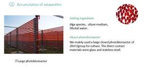 Klife CAS 472-61-7 Haematococcus pluvialis astaxanthin Oil 5%-10% HPLC Test - Product Image 4