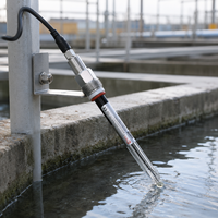 Électrode pH Submersible avec Boîtier en Verre et Acier Inoxydable 316L Résistant à la Corrosion, Plage de Valeurs pH 0-14, Indice d'Étanchéité IP68