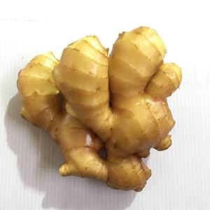 סיני באיכות גבוהה טרי ג 'ינג' ר גדול מים שטף ונארז בתיבה - Product Image 1