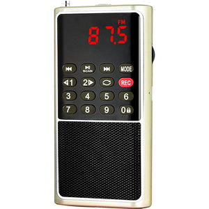Radio FM portátil L-338 OEM de fábrica, reproductor MP3, grabadora de voz, pantalla LED, altavoz incorporado, tamaño de bolsillo, recargable por USB, de plástico. - Product Image 5