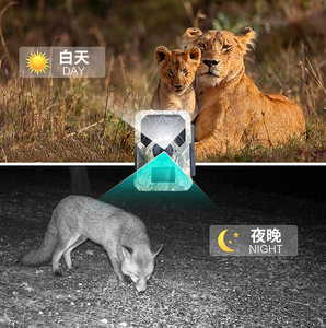 1080p Cmos LTE caméra de chasse cellulaire étanche Vision nocturne Ip66 caméra de chasse caméra de sentier de la faune en plein air - Product Image 5