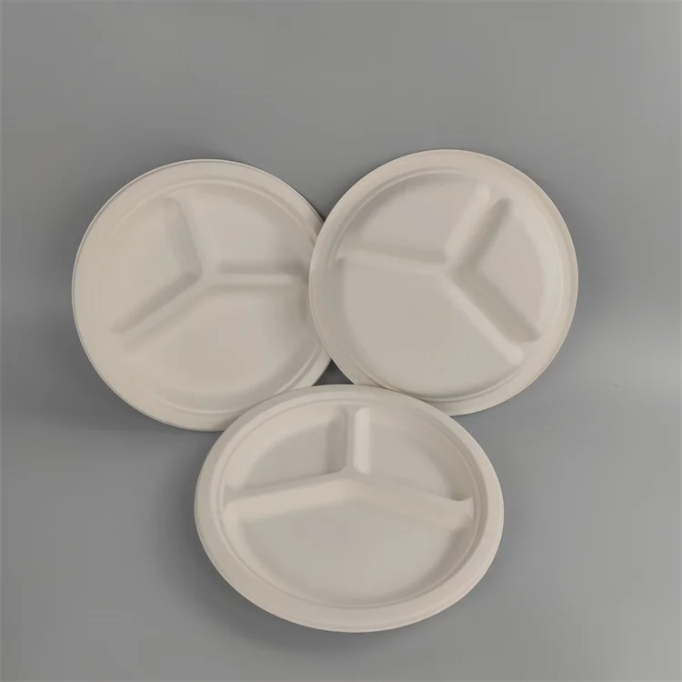 bagasse barbecue tray