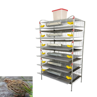 Cage d'élevage de cailles multi-niveaux de qualité supérieure, équipement avicole de qualité commerciale, approvisionnement direct