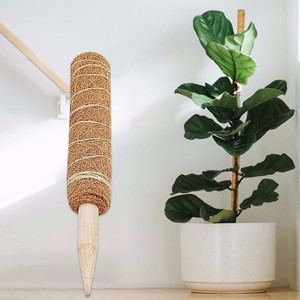 Anti Moldy Coir Plant Support Indoor Plants Climbing Plastic Stackable Moss Pole