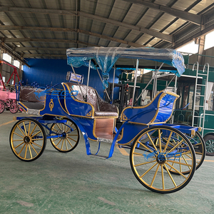Fabricant de calèches de tourisme, calèches européennes à chevaux, chariots à chevaux, véhicules à chevaux pour mariages - Product Image 4