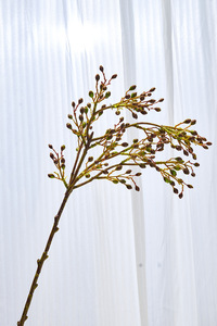 Ramo de flores de simulación, decoración pastoral europea de cadera rosa, accesorios de arreglo de flores de frutas de simulación - Product Image 4