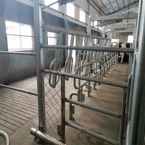 Grande machine à traire automatique électrique <span class=keywords><strong>de</strong></span> vache <span class=keywords><strong>de</strong></span> laiterie <span class=keywords><strong>de</strong></span> la meilleure chevrons avec le <span class=keywords><strong>prix</strong></span> à vendre - Product Image 3