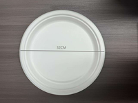 Lot de Plats Jetables Biodégradables Anti-fuite en Bagasse pour Plats à Emporter, Barquettes Déjeuner, Emballages à Emporter, Kits de Fournitures pour Fêtes - Vente en Gros