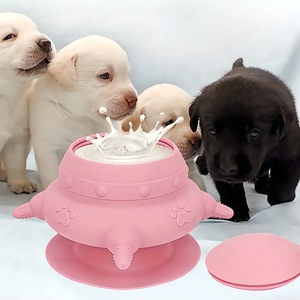 240ml Silicone Chiot Lait Mangeoire Bol Avec 4 Tétines Chiot Biberons Station D'alimentation Pet <span class=keywords><strong>Allaitement</strong></span> pour L'alimentation Des Chatons - Product Image 1