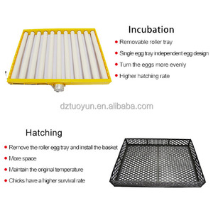 Incubateur à œufs de petite taille pour poulets, œufs d'<span class=keywords><strong>autruche</strong></span>, double alimentation, <span class=keywords><strong>prix</strong></span> d'usine TUOYUN - Product Image 4
