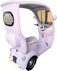 Tricycle à capote <span class=keywords><strong>2</strong></span> places 60V résistant aux intempéries (homologué DOT) : Véhicule fiable pour les trajets entre centres de <span class=keywords><strong>spa</strong></span> et stations balnéaires et les courses à domicile en zone montagneuse - Product Image 6