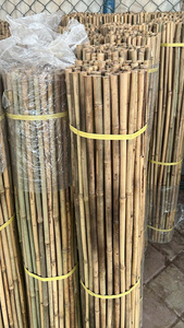 Piquets en bambou naturel du Vietnam, écologiques, pour jardinage, support de plantes pour pépinières et vignobles - Product Image 5
