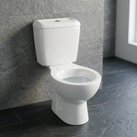 Fournisseur en gros de Chine de sanitaires : Ensemble WC deux pièces à chasse directe avec siphon en P