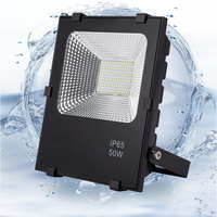 Projecteur LED extérieur IP 66 50W avec réflecteur à écailles de poisson
