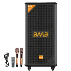 Professionnel grande puissance Woofer en bois sans fil PA Home cinéma BT haut-parleur système de son Audio fête souper basse haut-parleurs avec micro