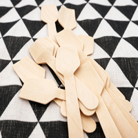Mini houten lepeltjes, verpakking van 100, wegwerp vierkante proeflepeltjes, lepeltjes voor yoghurt en ijs