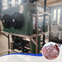 Proveedores de alto rango 2 Tonner Ice 30ton 40 50 60 Ton Tube Ice Cube Maker Making Machine 100kg 500 Kg 1T 2 T 15 T