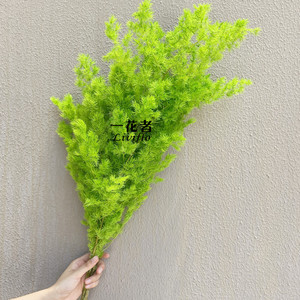 หวายเอิน <span class=keywords><strong>ขาย</strong></span>ดี ดอกรัสคัสสดอบแห้ง-ผู้จัดจำหน่ายขายส่งสำหรับวันวาเลนไทน์ งานแต่งงาน และของขวัญตกแต่งวันหยุด - Product Image 5