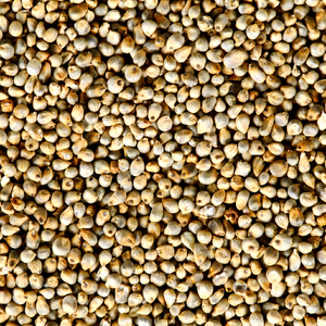 Grains de millet pur perle - Product Image 1