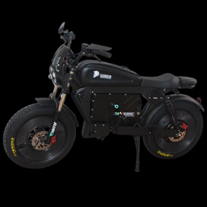 Vélo électrique tout-terrain puissant 3000W pour adultes avec batterie amovible et modèle Ultra SK-2 - Product Image 2