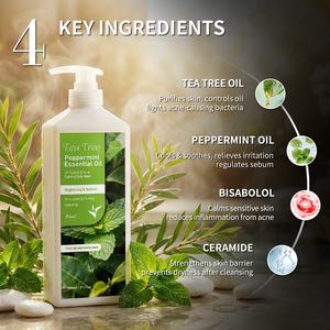 Jabón en Barra Remedy con Aceite de Árbol de Té, Gel de Ducha Natural con Menta y Aloe para el Cuerpo, Elimina el Olor de Pies y Piel Irritada, Alivia la Picazón - Product Image 2