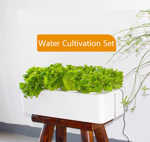 Hệ thống thủy canh rau hữu cơ trồng với tăng trưởng thực vật Đèn Nội Bộ lưu thông nước 4 lớp với LED - Product Image 3