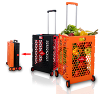 Supermarché maison personnalisée en usine chariot pliable en plastique à grille 4 roues chariot d'épicerie à rouleaux chariot capacité maille en plastique