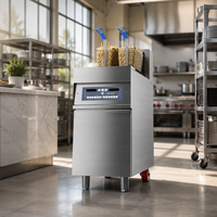 Friteuse Commerciale Directe Usine, Plusieurs Modèles Disponibles, Équipement de Friture pour Frites et Poulet Frit