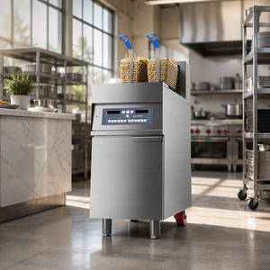 <span class=keywords><strong>Friteuse</strong></span> Commerciale Directe Usine, Plusieurs Modèles Disponibles, Équipement de Friture pour Frites et Poulet Frit - Product Image 4
