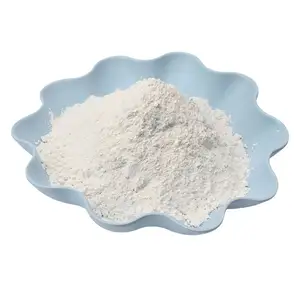 CAS no 471-34-1 dilapisi bubuk mikronisasi calcite 98% putih calcium carbonate industrial grade plastic filler batch