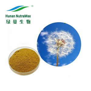 Chiết Xuất Bồ Công Anh Chất Lượng Cao Chiết Xuất Taraxacum Chiết Xuất Herba Taraxaci 4:1 ~ 20:1 - Product Image 3