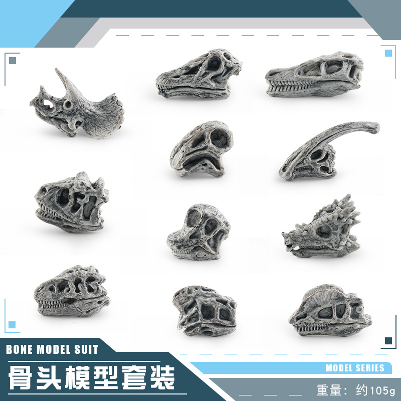 Crâne de dinosaure gris BL-1246 105g