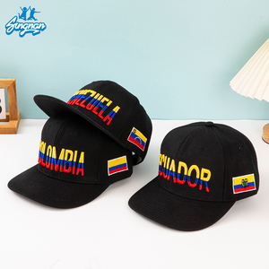Casquette de baseball structurée à 6 panneaux <span class=keywords><strong>Coupe</strong></span> <span class=keywords><strong>du</strong></span> <span class=keywords><strong>Monde</strong></span> de Football, unisexe, tendance, avec logo brodé 3D personnalisé, style sportif pour papa, vente en gros - Product Image 1
