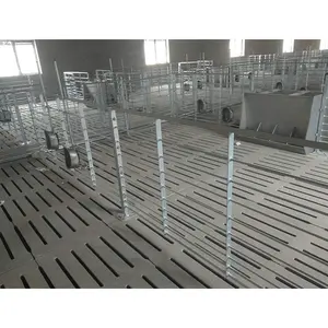High quality hot dip galvanized can be customized pig fattening crate equipment for pig farm