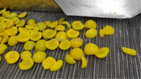 Hachoir électrique multifonctionnel de haute qualité, coupe-frites, coupe-légumes, machine à couper les chips de pommes de terre