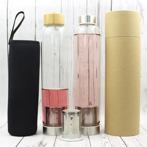Bouteilles d'eau en verre étanches de 500ml sans Bpa avec infuseur à thé en acier inoxydable - Product Image 1