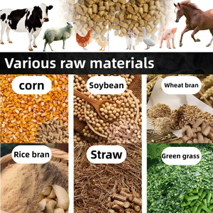<span class=keywords><strong>Machine</strong></span> à granulés d'aliments pour animaux de 150 kg/h, mini-<span class=keywords><strong>machine</strong></span> pour usage domestique et petites exploitations agricoles, équipement portable de traitement <span class=keywords><strong>des</strong></span> aliments pour animaux à haute productivité - Product Image 2