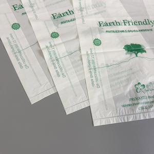 ถุงหูหิ้วแบบสอดด้านข้าง ย่อยสลายได้ เป็นมิตรกับสิ่งแวดล้อม พิมพ์โลโก้ได้ตามต้องการ รีไซเคิลได้ เหมาะสำหรับร้านบูติก บรรจุภัณฑ์ของขวัญ - Product Image 6