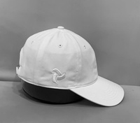 Gorras de Béisbol 100% Algodón, Bordado 3D, Colores Personalizados, Tallas Personalizadas, Unisex, Casuales, para las Cuatro Estaciones, Deportes Diarios, Venta al Por Mayor, Precio Bajo