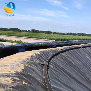 แผ่นเมมเบรน HDPE LDPE หนา 1.0 มม. ป้องกันรังสียูวี สำหรับ<span class=keywords><strong>บ่อ</strong></span><span class=keywords><strong>ปลา</strong></span> <span class=keywords><strong>บ่อ</strong></span>ขยะกลางแจ้ง และพื้นที่เก็บน้ำ - Product Image 1