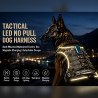 Qcool Çekmez Yanıp Sönen Nefes Alabilen Dayanıklı Naylon Açık Hava Eğitimi Toptan Evcil Hayvan Malzemeleri LED Köpek Tasması Yelek Seti Üreticisi