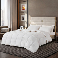 Couette d'hôtel de style simple imprimé blanc pur avec tissu brossé anti-boulochage et respirant pour l'automne