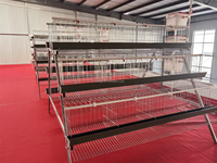 Cage à poules pondeuses de type A, 10000-20000 poulets, 4 niveaux, 3 étages, cage en batterie avec échelle