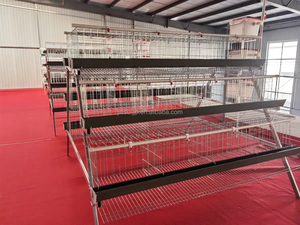 Pondoir pour 5000-10000 poulets, type A, structure en H, 3 niveaux, 4 étages, cage à batterie avec échelle, cage à poules pondeuses galvanisée, système d'abreuvement et d'alimentation - Product Image 6