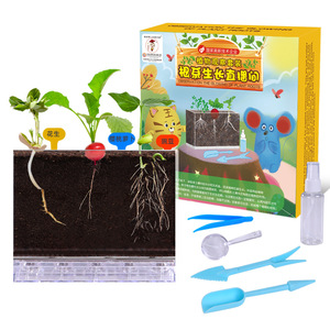 Kit d'expériences scientifiques, fenêtre d'observation des racines des plantes, jouet éducatif DIY pour enfants de 8 à 13 ans, matériau plastique - Product Image 2