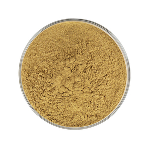 Tùy chỉnh số lượng lớn Hữu Cơ stinging cây tầm ma chiết xuất bột cấp thực phẩm nhà cung cấp/Nhà sản xuất cho gốc Lá Hạt giống lá - Product Image 2