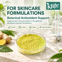 Poudre d'extrait de gingembre instantané de qualité alimentaire KLIFE, soluble dans l'eau, 1 % de gingérol, extraction par solvant, emballée sous vide dans un récipient en plastique