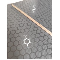 Planches de contreplaqué de bouleau phénolique antidérapantes en maille, plancher de remorque moderne, 9 mm, extérieur, taille E1, 2440*1220 mm